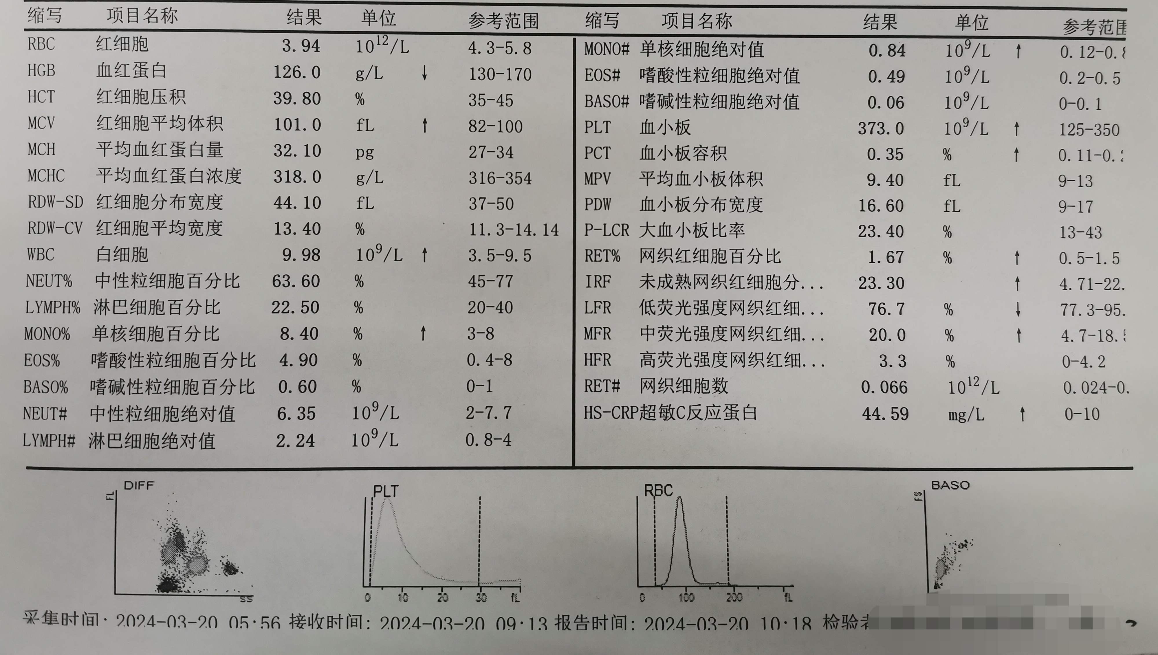 血型化验单图片