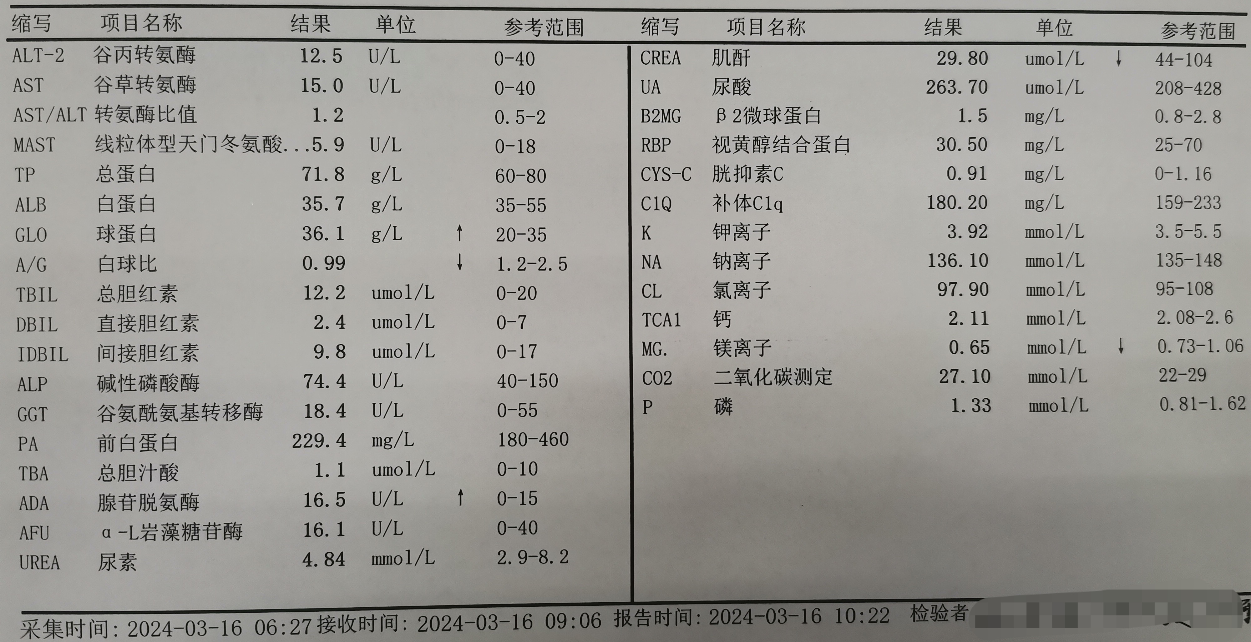 化验单模板图片