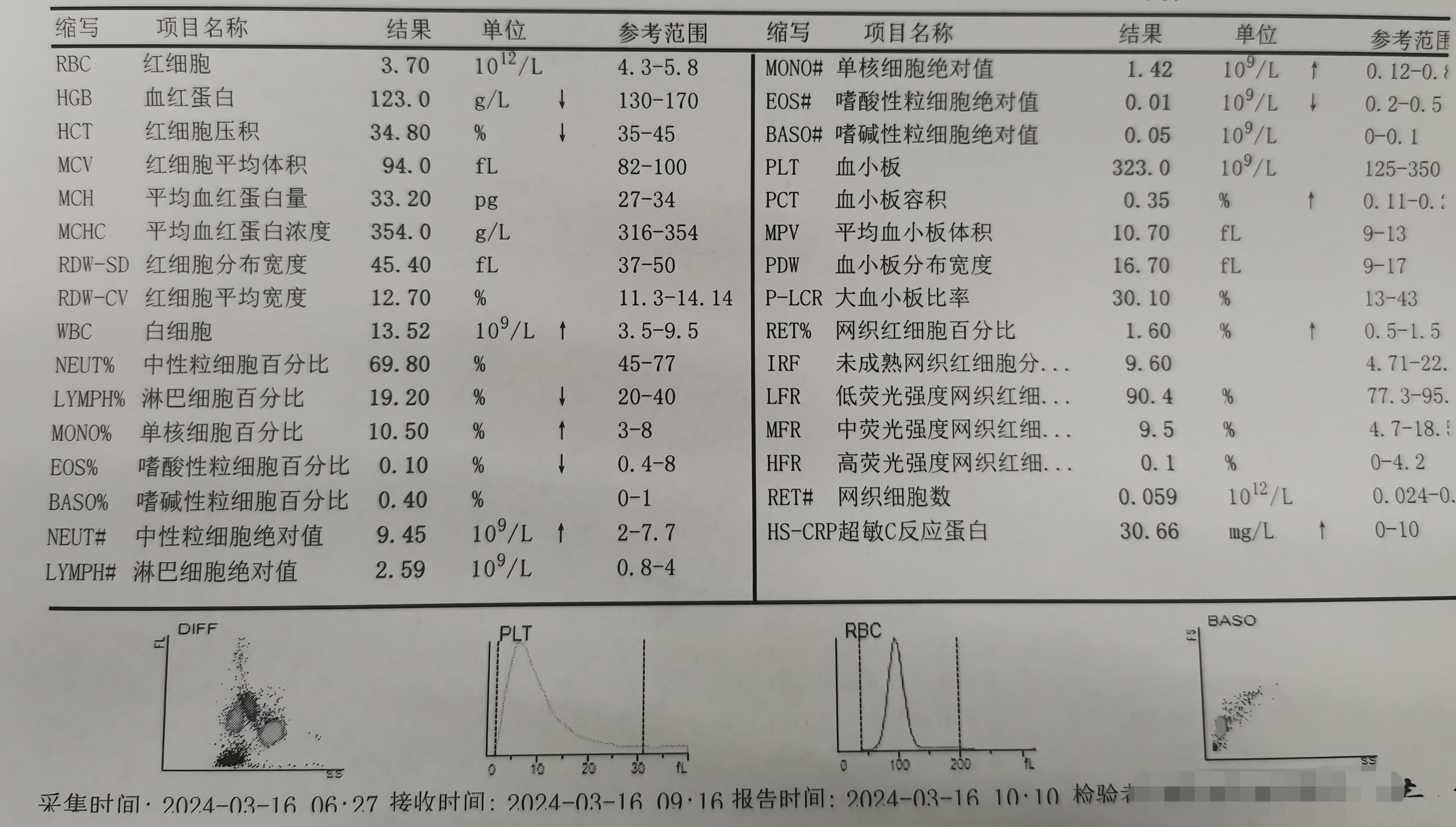 化验单模板图片