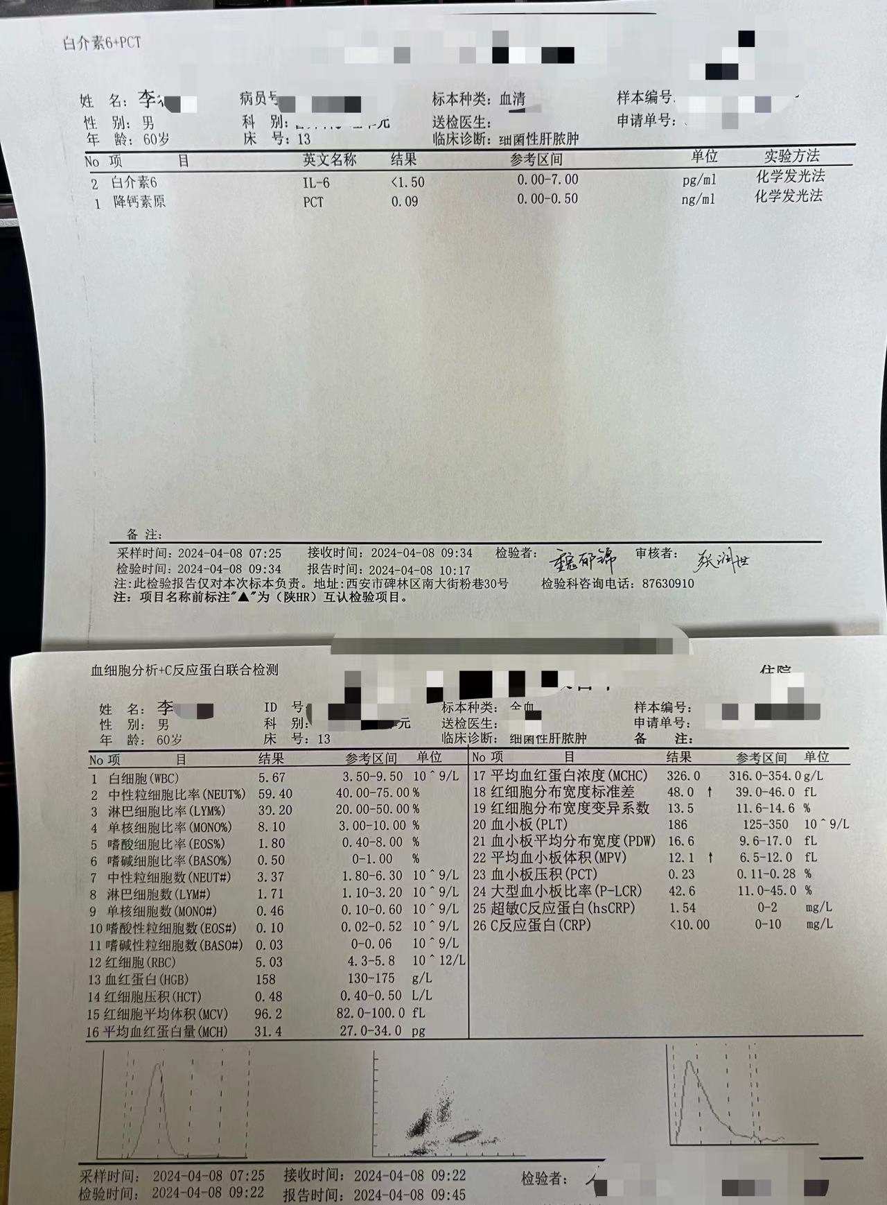 化验单图片