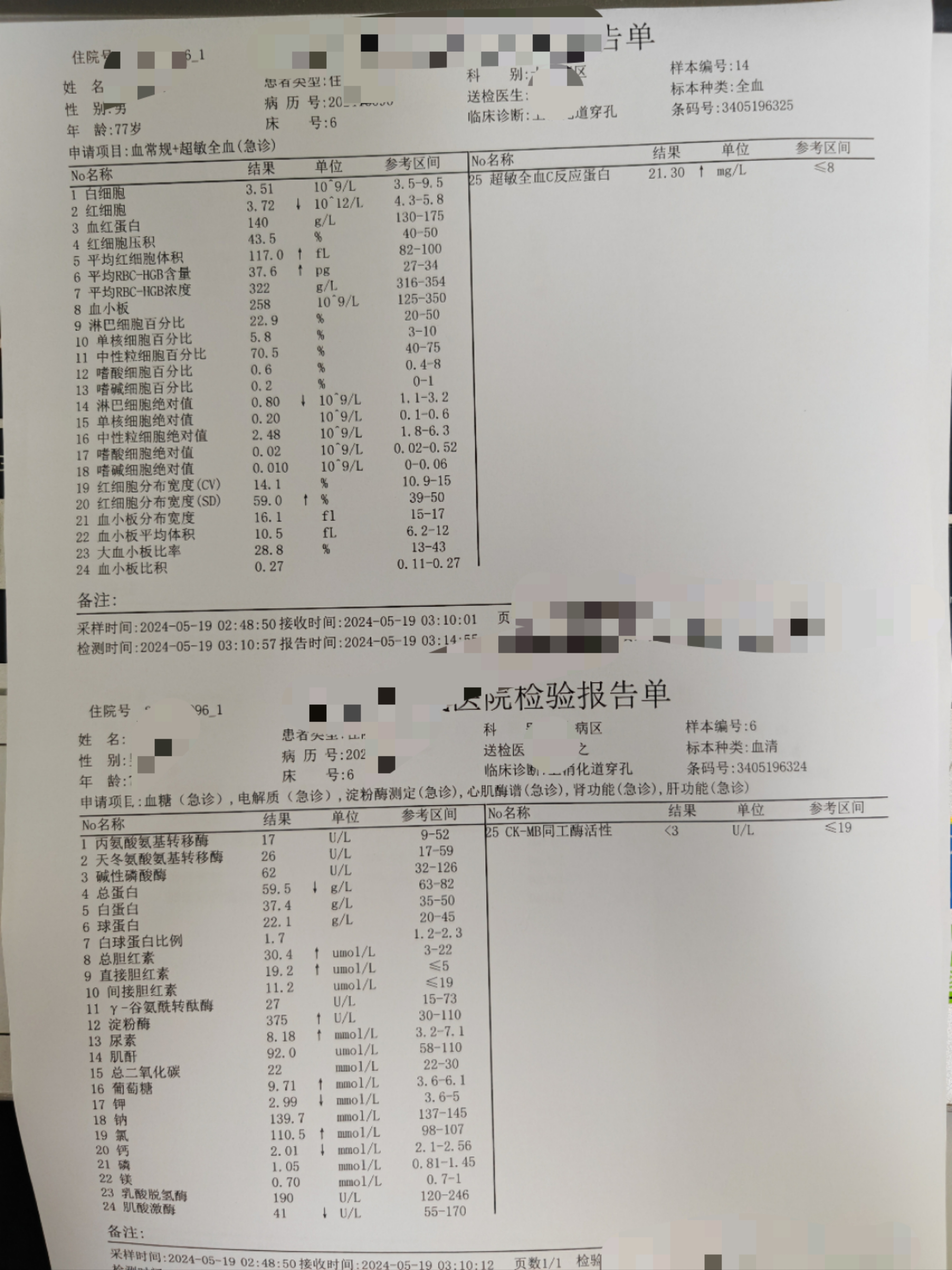 化验单图片图片