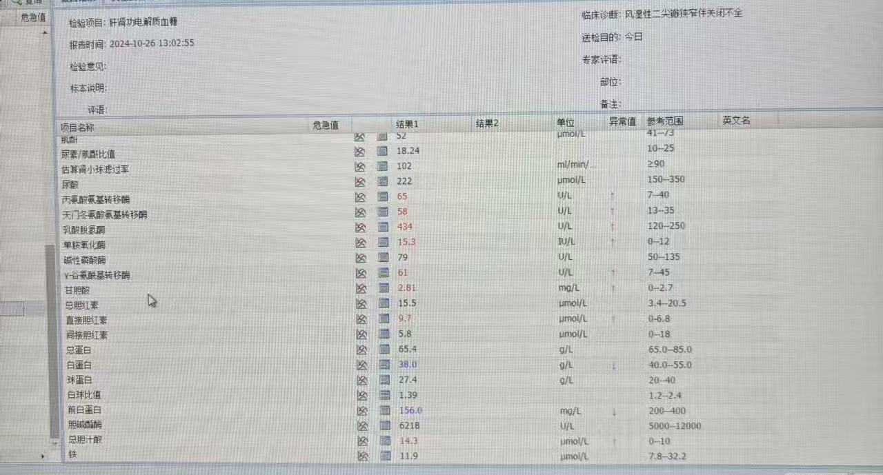 化验单图片