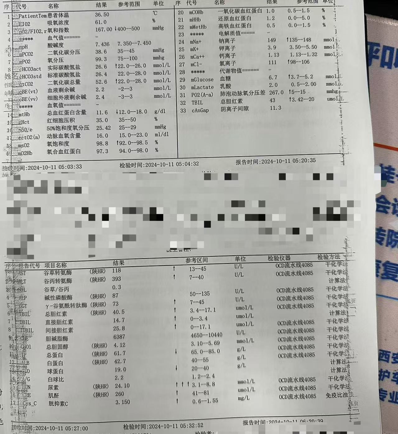 化验单图片